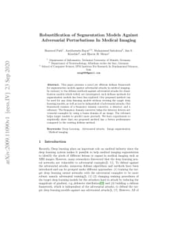 Robustification of Segmentation Models Against Adversarial Perturbations
  In Medical Imaging