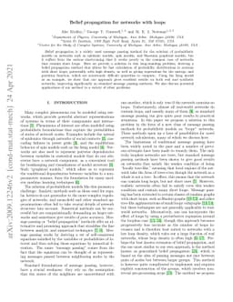 Belief propagation for networks with loops