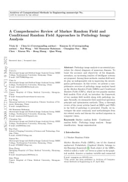 A Comprehensive Review for MRF and CRF Approaches in Pathology Image
  Analysis