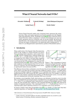 What if Neural Networks had SVDs?
