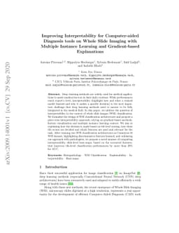 Improving Interpretability for Computer-aided Diagnosis tools on Whole
  Slide Imaging with Multiple Instance Learning and Gradient-based Explanations
