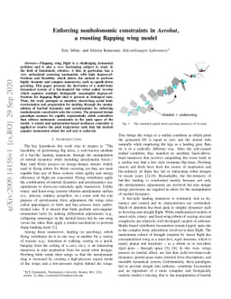 Enforcing nonholonomic constraints in Aerobat, a roosting flapping wing
  model
