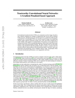 Trustworthy Convolutional Neural Networks: A Gradient Penalized-based
  Approach