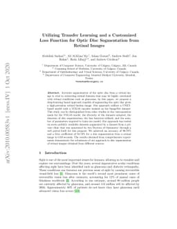 Utilizing Transfer Learning and a Customized Loss Function for Optic
  Disc Segmentation from Retinal Images