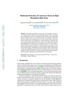 Multiscale Detection of Cancerous Tissue in High Resolution Slide Scans