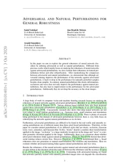 Adversarial and Natural Perturbations for General Robustness