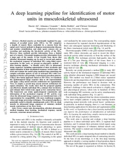 A deep learning pipeline for identification of motor units in
  musculoskeletal ultrasound