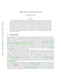 Affine-Invariant Robust Training