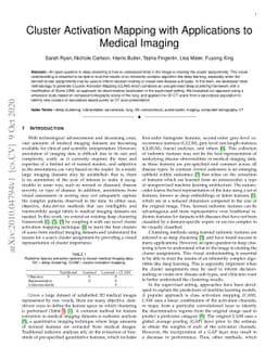 Cluster Activation Mapping with Applications to Medical Imaging