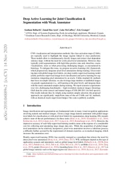 Deep Active Learning for Joint Classification & Segmentation with Weak
  Annotator