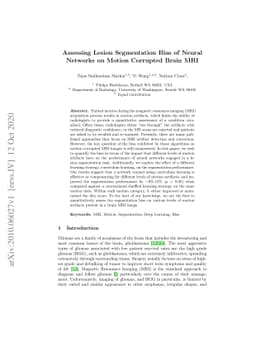 Assessing Lesion Segmentation Bias of Neural Networks on Motion
  Corrupted Brain MRI