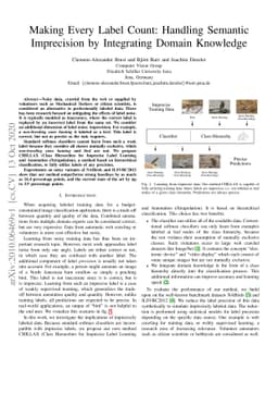 Making Every Label Count: Handling Semantic Imprecision by Integrating
  Domain Knowledge