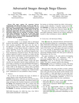 Adversarial Images through Stega Glasses