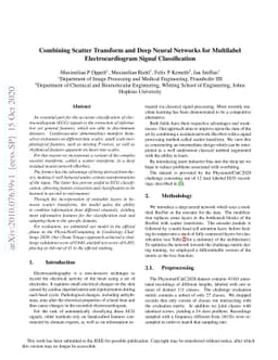 Combining Scatter Transform and Deep Neural Networks for Multilabel
  Electrocardiogram Signal Classification