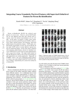 Integrating Coarse Granularity Part-level Features with Supervised
  Global-level Features for Person Re-identification