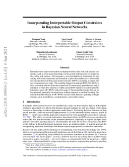 Incorporating Interpretable Output Constraints in Bayesian Neural
  Networks