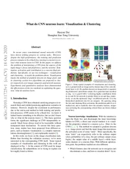What do CNN neurons learn: Visualization & Clustering