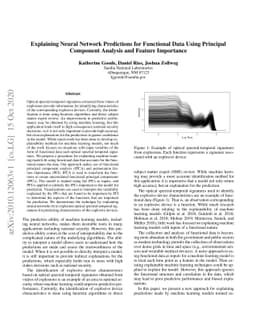Explaining Neural Network Predictions for Functional Data Using
  Principal Component Analysis and Feature Importance