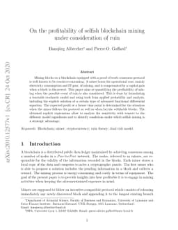 On the profitability of selfish blockchain mining under consideration of
  ruin