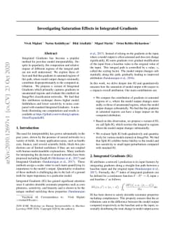 Investigating Saturation Effects in Integrated Gradients