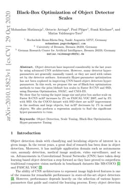 Black-Box Optimization of Object Detector Scales