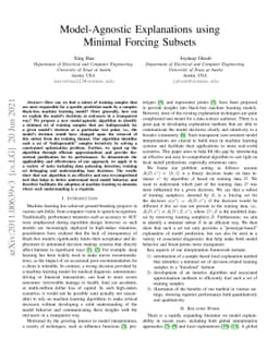 Model-Agnostic Explanations using Minimal Forcing Subsets