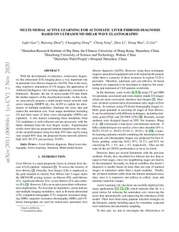 Multi-Modal Active Learning for Automatic Liver Fibrosis Diagnosis based
  on Ultrasound Shear Wave Elastography