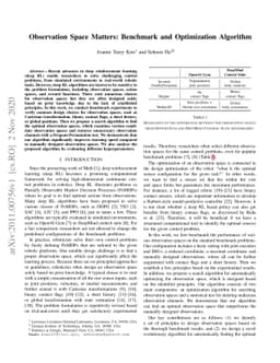 Observation Space Matters: Benchmark and Optimization Algorithm