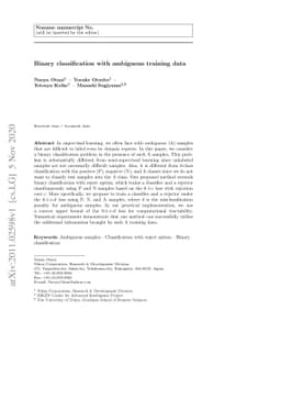 Binary classification with ambiguous training data