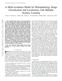 A Multi-resolution Model for Histopathology Image Classification and
  Localization with Multiple Instance Learning