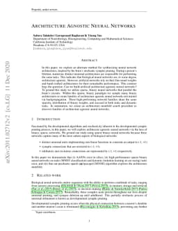 Architecture Agnostic Neural Networks