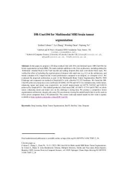 DR-Unet104 for Multimodal MRI brain tumor segmentation