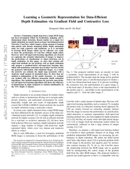 Learning a Geometric Representation for Data-Efficient Depth Estimation
  via Gradient Field and Contrastive Loss