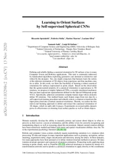 Learning to Orient Surfaces by Self-supervised Spherical CNNs