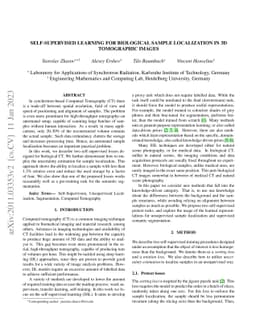 Self-Supervised Learning for Biological Sample Localization in 3D
  Tomographic Images