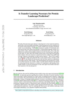 Is Transfer Learning Necessary for Protein Landscape Prediction?