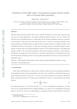 Consistency of the MLE under a two-parameter gamma mixture model with a
  structural shape parameter