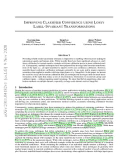 Improving Classifier Confidence using Lossy Label-Invariant
  Transformations