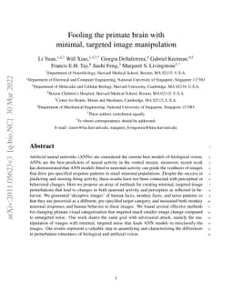 Fooling the primate brain with minimal, targeted image manipulation