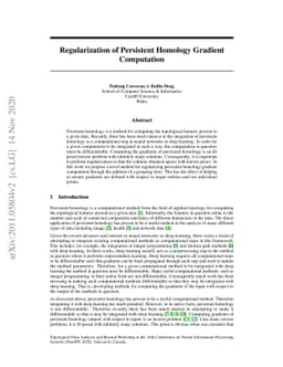 Regularization of Persistent Homology Gradient Computation