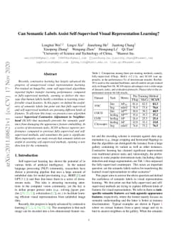 Can Semantic Labels Assist Self-Supervised Visual Representation
  Learning?