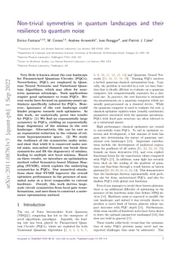 Non-trivial symmetries in quantum landscapes and their resilience to
  quantum noise