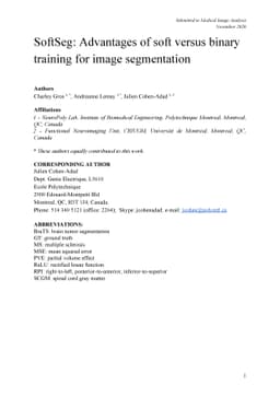 SoftSeg: Advantages of soft versus binary training for image
  segmentation