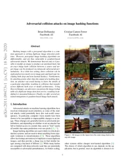 Adversarial collision attacks on image hashing functions