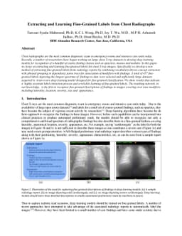 Extracting and Learning Fine-Grained Labels from Chest Radiographs