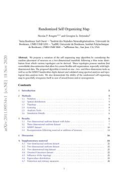 Randomized Self Organizing Map