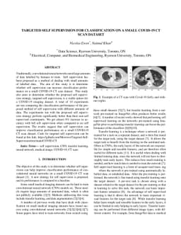 Targeted Self Supervision for Classification on a Small COVID-19 CT Scan
  Dataset