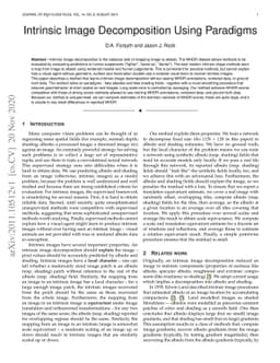 Intrinsic Image Decomposition using Paradigms