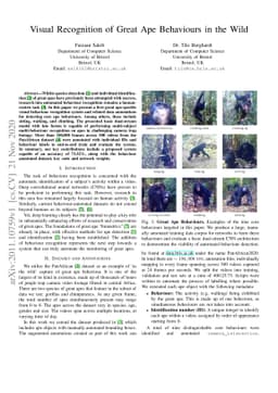 Visual Recognition of Great Ape Behaviours in the Wild