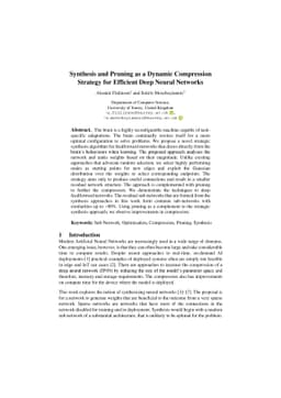Synthesis and Pruning as a Dynamic Compression Strategy for Efficient
  Deep Neural Networks